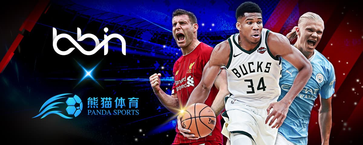中都有着不